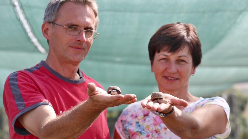 Michal a Helena Přikrylovi ze šnečí farmy