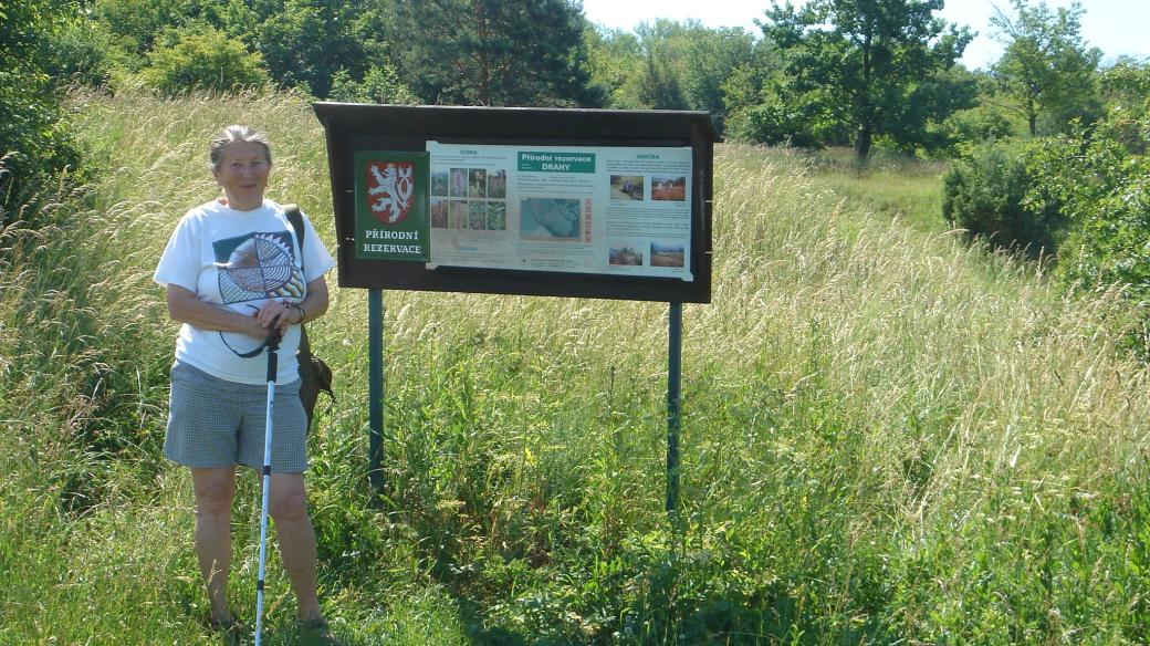 Bílé Karpaty, orchidejová louka, chráněná lokalita Drahy u Horního Němčí