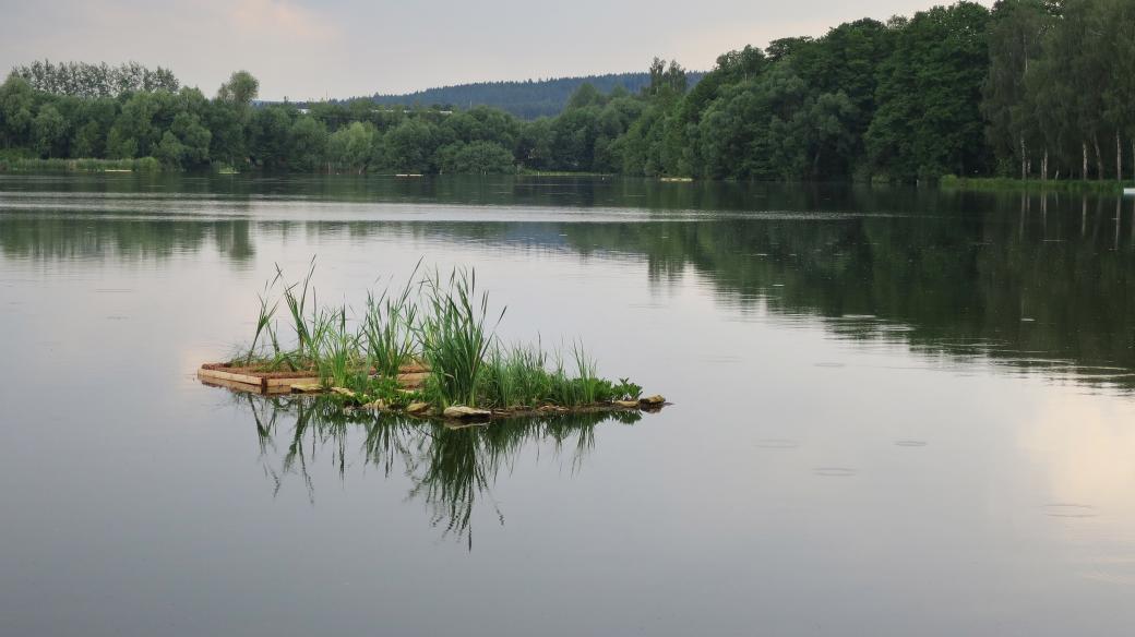 Uměle vytvořený plovoucí ostrůvek na Rosničce pomáhá čistit vodu