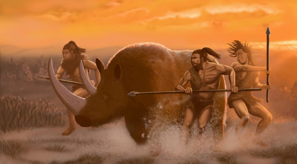 Nosorožec srstnatý (Coelodonta antiquitatis)