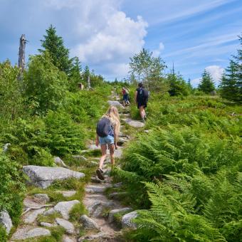 Turisté na cestě na Třístoličník