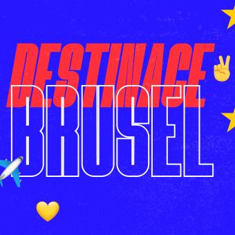Destinace Brusel
