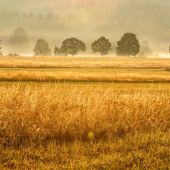 Kořeny – Z dějin jihočeských rodin a rodů