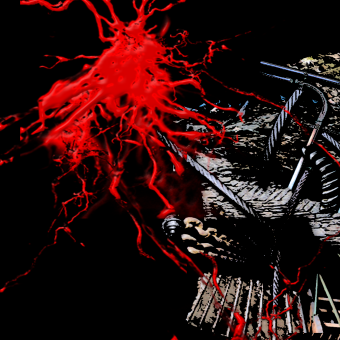 Černá sanitka a jiné děsivé příběhy