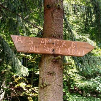Odbočka od chaty Megovka směrem na Velkou Javořinu