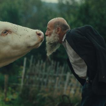 Z filmu Raději zešílet v divočině