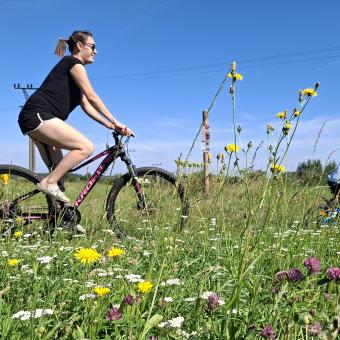 Planetární stezka v Proseči vás zavede do malebné krajiny i hlubin vesmíru