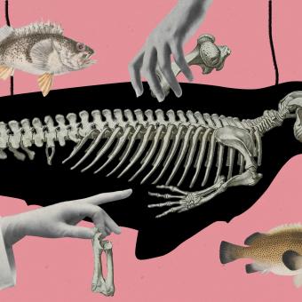 Iida Turpeinenová: Poslední siréna