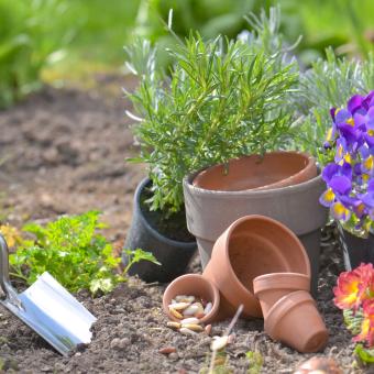 Pěstování bez trápení