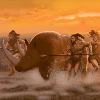 Meteor o žralocích, evropském kosmodromu a srstnatém nosorožci