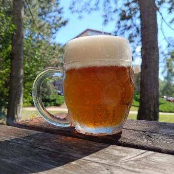Pivo