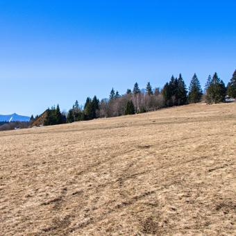 Hrabětické louky v Jizerských horách, v pozadí Ještěd