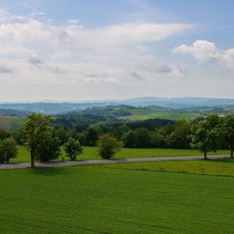 Výhled směr Kumburk, Bralec a Tábor