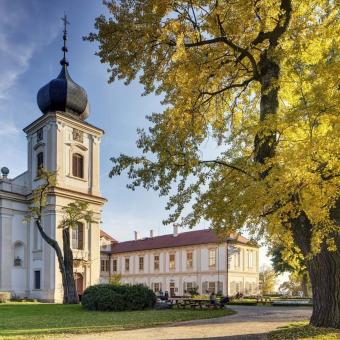 Zámek Loučeň nabízí oživlou historii s pikantními příběhy. Zámecký park pak unikátní labyrintárium