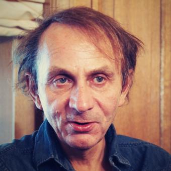 Michel Houellebecq: Elementární částice