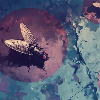 Dora Kaprálová: Mariborská hypnóza