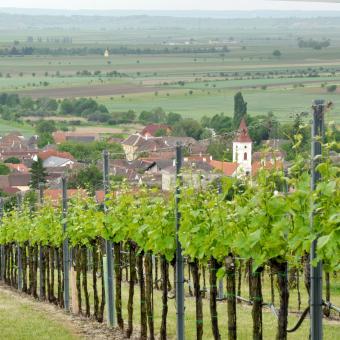 Rodáci známí neznámí