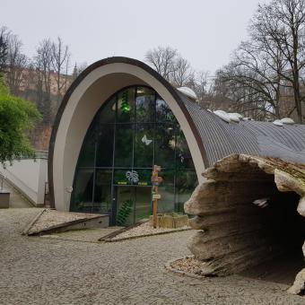 Pojďte s námi do zoo