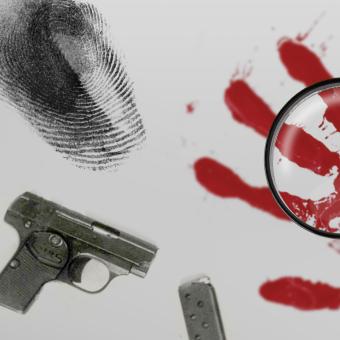 Historie českého zločinu