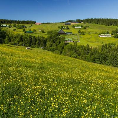 Krkonoše nejsou skanzen, rozvoj ale nesmí ohrozit vzácné horské louky