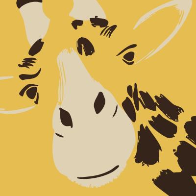 Jindřich Plachta: Pučálkovic Amina