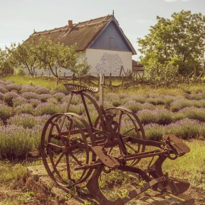 Isaak Babel: Povídky