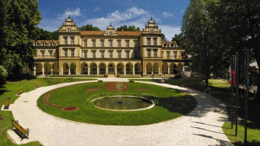 Rehabilitační ústav Brandýs nad Orlicí s kapacitou 110 lůžek má celorepublikovou působnost, jeho historie se datuje už od roku 1898