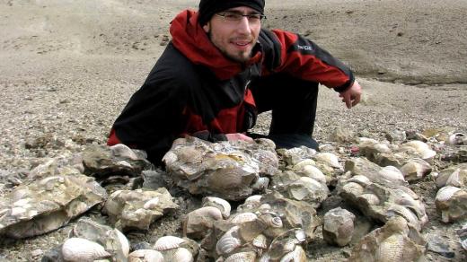 Rájem pro paleontologa Radka Vodrážku (Česká geologická služba) jsou horniny přeplněné zkamenělými mlži. Jedinečně zachovalé fosílie jsou až 70 milionů let staré