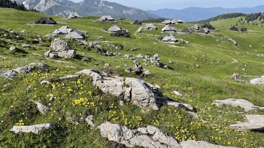 Krávy dorazí na vrchol až tak za týden – ke konci června. Místo bučení se z jedné ohrady ozývá jen motorová pila