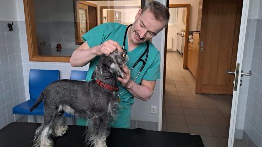 Jablonecký veterinář Marek Bedrník s jedním ze svých pacientů