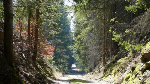 Cesta k Lannovu kříži II