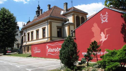 Daruvarské pivo Staročeško patří k nejlepším v Chorvatsku