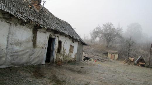 Sútor