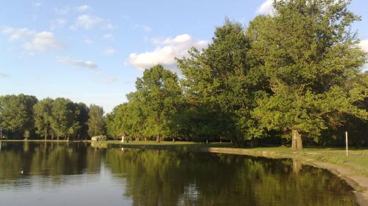 Stromovka, České Budějovice
