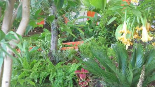 Getsemanská zahrada