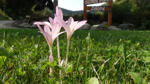 Bečovská botanická zahrada