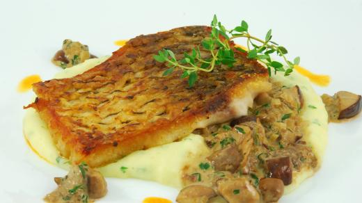 Filátko z kapra s tymiánem, ragú z lesních hříbků, pažitkové bramborové pyré