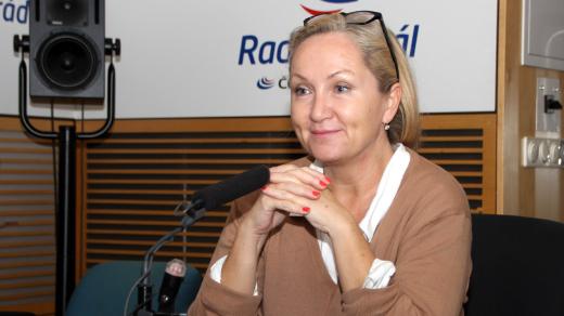 Bára Basiková, zpěvačka