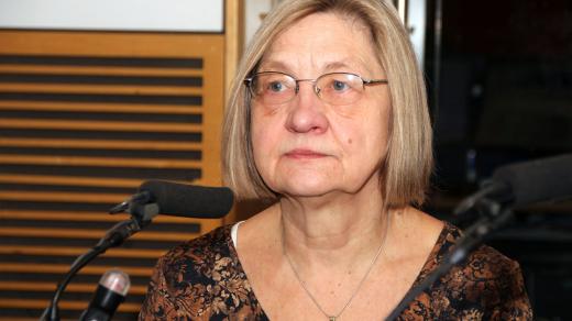 Historička umění Pavla Pečinková zmínila, v čem jsou obrázky Josefa Lady unikátní