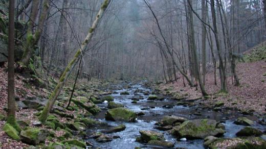 Přírodní rezervace Strádovské Peklo a Krkanka na Pardubicku