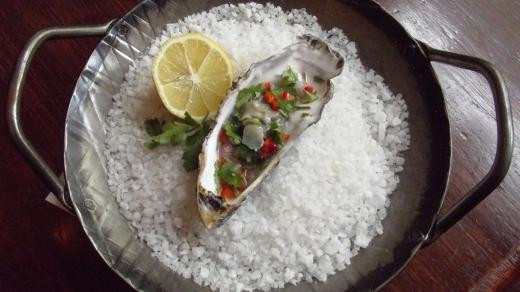 Ceviche z ústřice