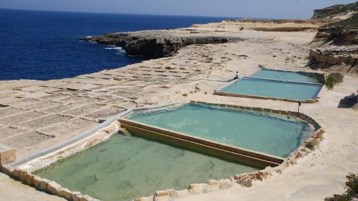 Rodina chce v rodinné tradici pokračovat