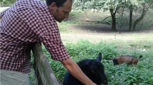 Kozel Uhlík se kontaktům s návštěvníky vůbec nebrání