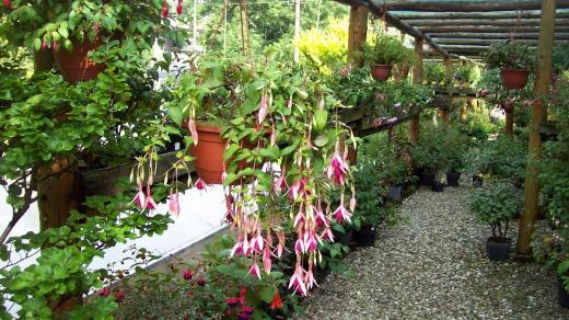 Celkem jich je 1 300