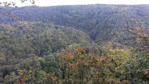 Údolí Divoké Oslavy