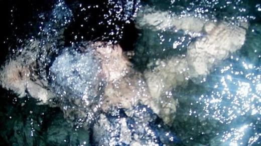 Arca  