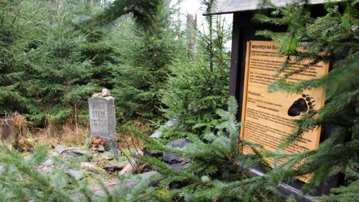 Místo skonu poslední medvědice bylo tehdy v roce 1856 zaváté sněhem