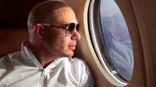 Pitbull  