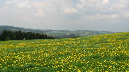 Pohled na krajinu u Vyskytné nad Jihlavou