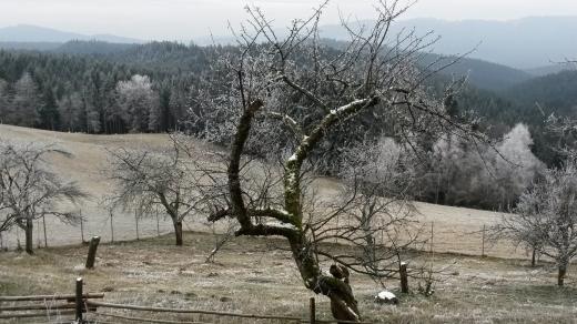 Zadní hory, Beskydy